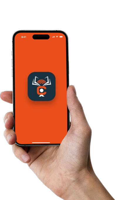 Hand holding phone